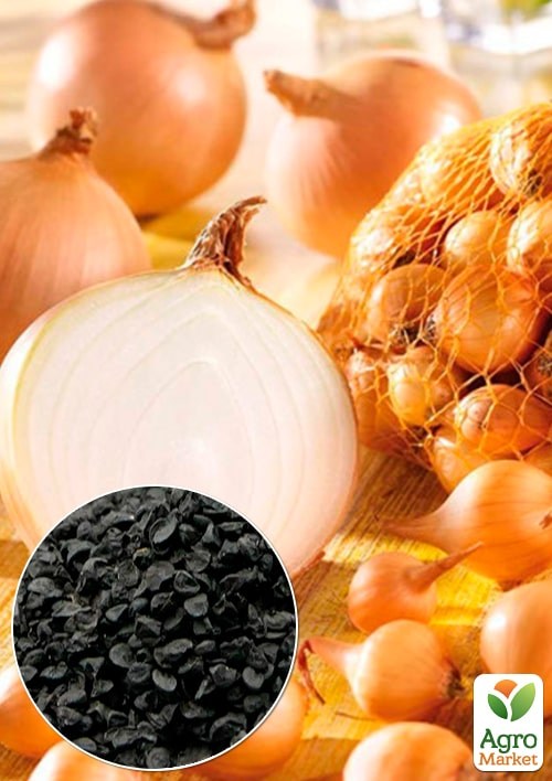 Лук "Штутгартен ризен" (Зипер) ТМ "Весна" 3г