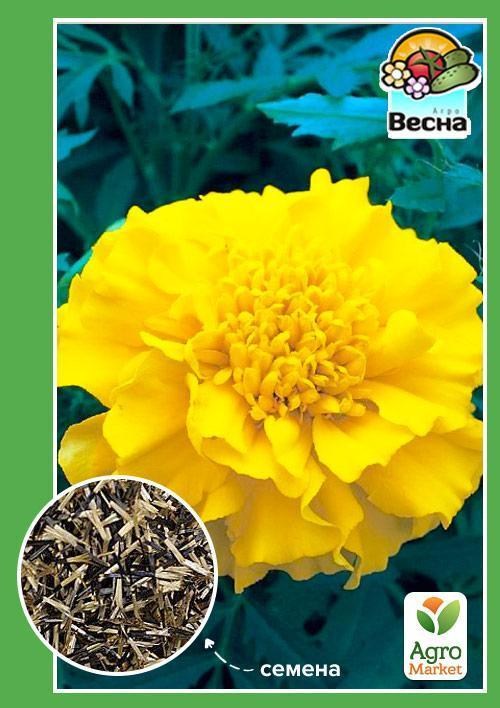 Чорнобривці "Лемон фрі" ТМ "Весна" 0.3г