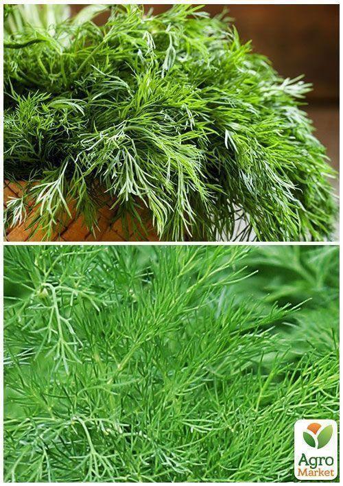 На развес Укроп "Супердукат ОЕ" ТМ "Весна" цена за 20г - фото 3