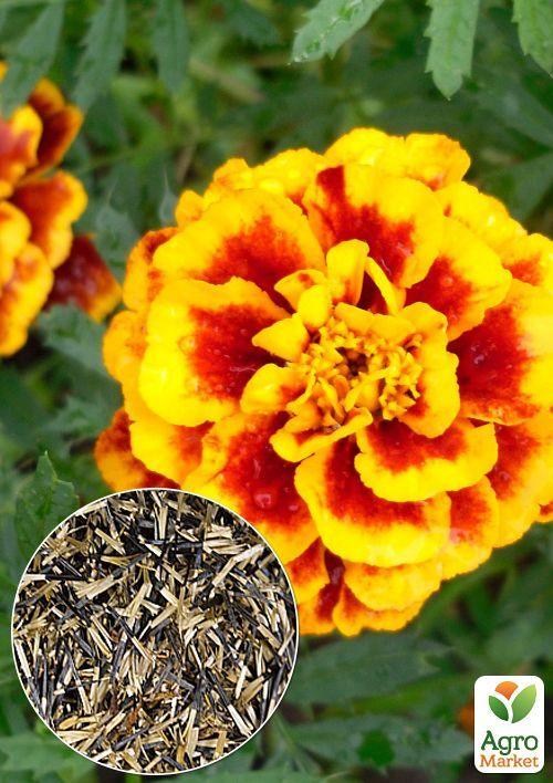 На развес Бархатцы "Спрей петит" ТМ "Весна" цена за 2г