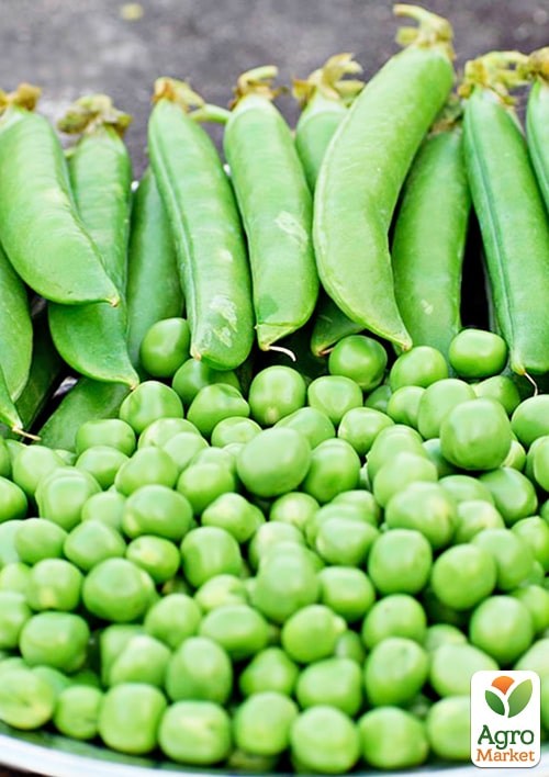 Горох "Липтон" ТМ "Весна" 100г - фото 2