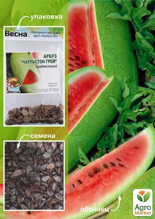 Арбуз "Чарльстон грей" (Зипер) ТМ "Весна" 4г