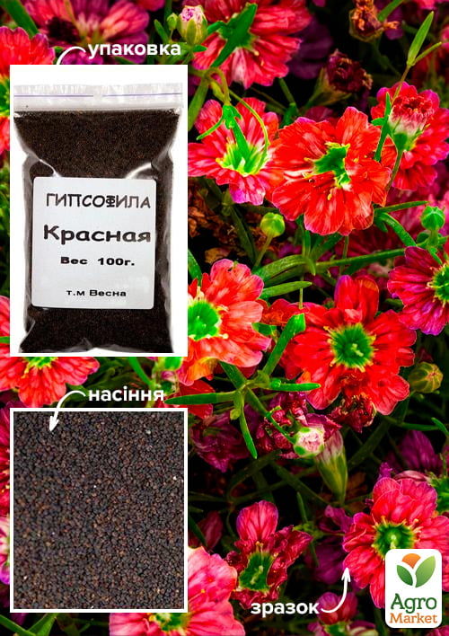 Гипсофила красная ТМ "Весна" 100г