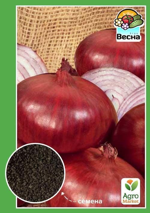 Лук "Рубин" ТМ "Весна" 1г