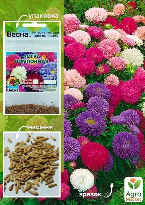 Астра "Помпонная" смесь окрасок (Зипер) ТМ "Весна" 0,5г