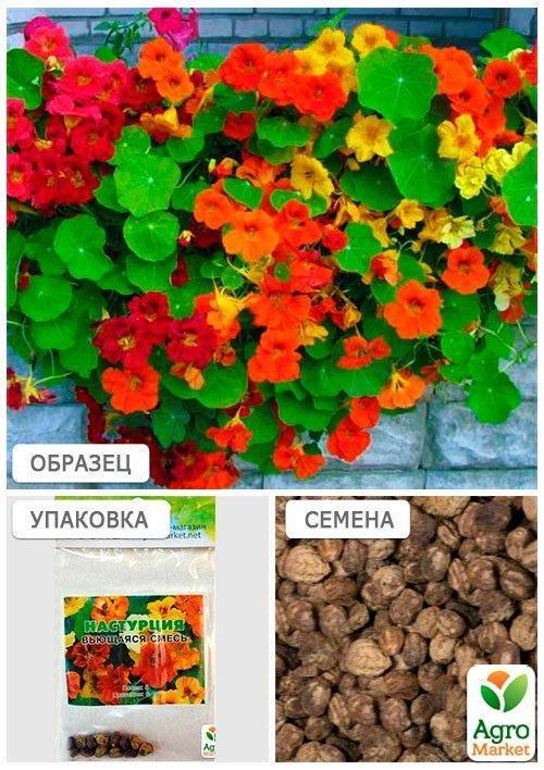 Настурція "Кучерява суміш" (Зипер) ТМ "Весна" 2г - фото 3