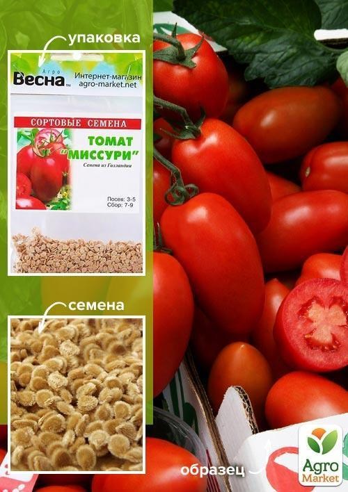 Томат "Миссури" (Зипер) ТМ "Весна" 1г