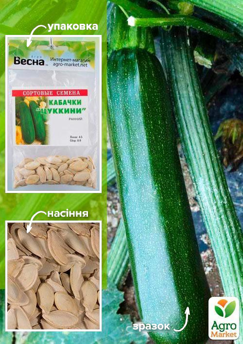 Кабачок "Цукіні" (Зипер) ТМ "Весна" 5г