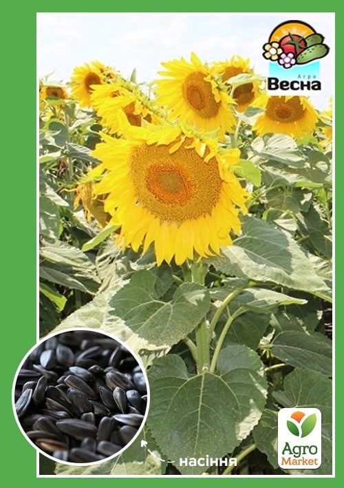 Подсолнечник "Алькантара" ТМ Весна 3кг