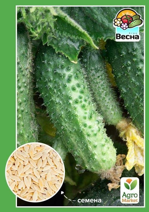 Огурец "Буян F1" ТМ "Весна"  0.25г