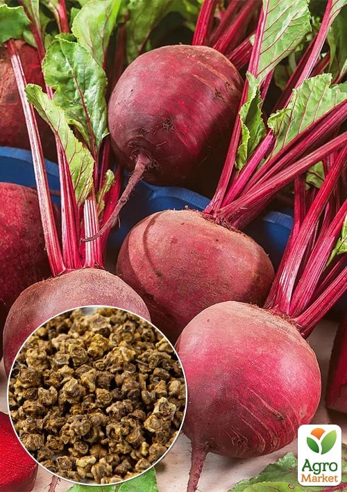 Свекла "Моник" (Зипер) ТМ "Весна" 6г