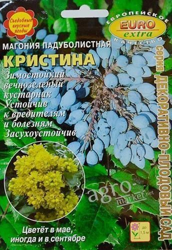 Магонія падубнолістная "Крістіна" ТМ "Аеліта"