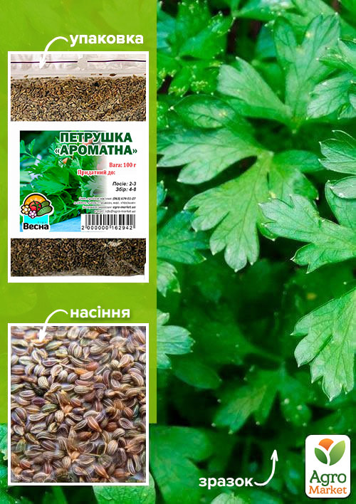 Петрушка "Ароматна" ТМ "Весна" 100гр