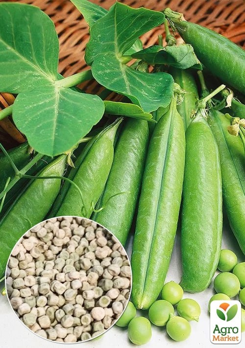 Горох "Спадщина" (Зіпер) ТМ "Весна" 30г