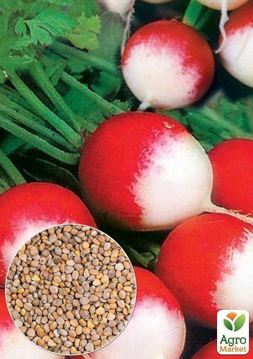 На развес Редис "Краковянка" ТМ "Весна" цена за 10г