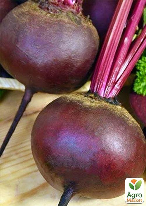 Буряк "Червона куля" (Зипер) ТМ "Весна" 6г - фото 2