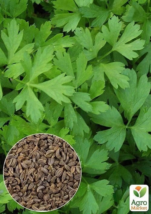 На вагу Петрушка листова ТМ "Весна" ціна за 10г