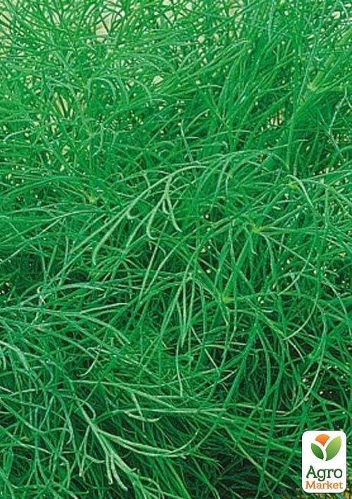 Укроп "Супердукат" (в банке) ТМ "Весна" 400г