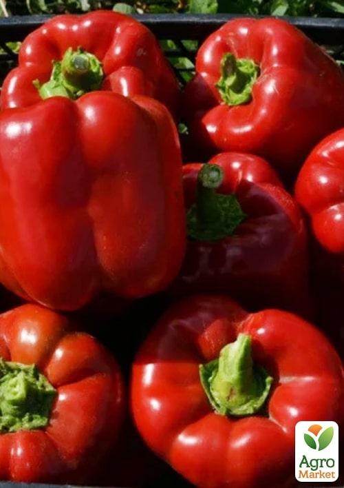 Перець "Том F1" ТМ "Lark Seeds" 500шт