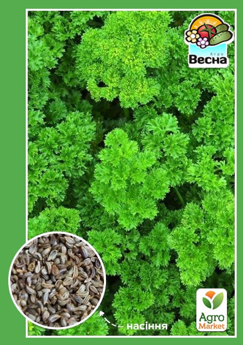 Петрушка "Кучерявая" ТМ "Весна" 1.5г