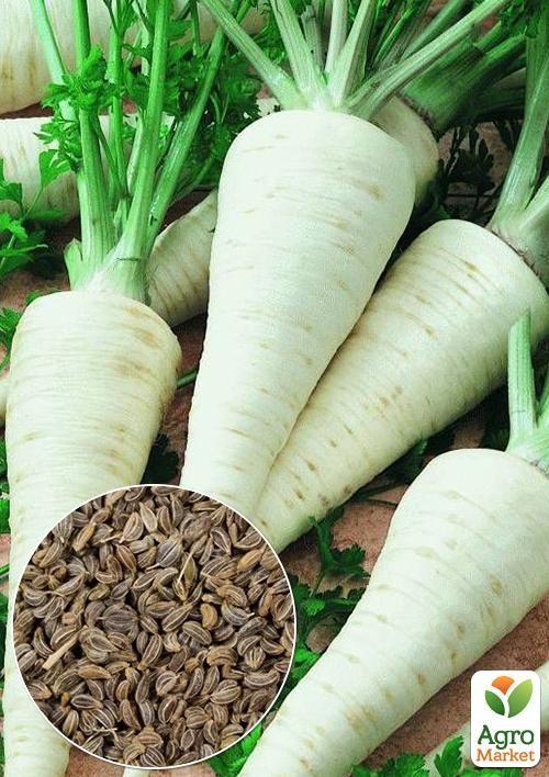 На развес Петрушка корневая "Берлинская" ТМ "Весна" цена за 5г