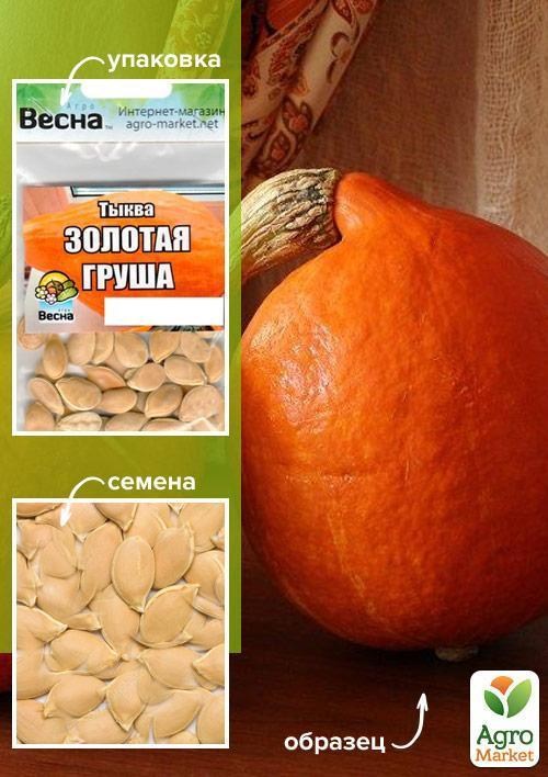 Тыква "Золотая груша" (Зипер) ТМ "Весна" 6г
