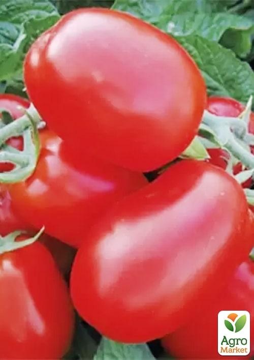 Томат детерминантный "1510 F1" ТМ "Lark Seeds" 500шт