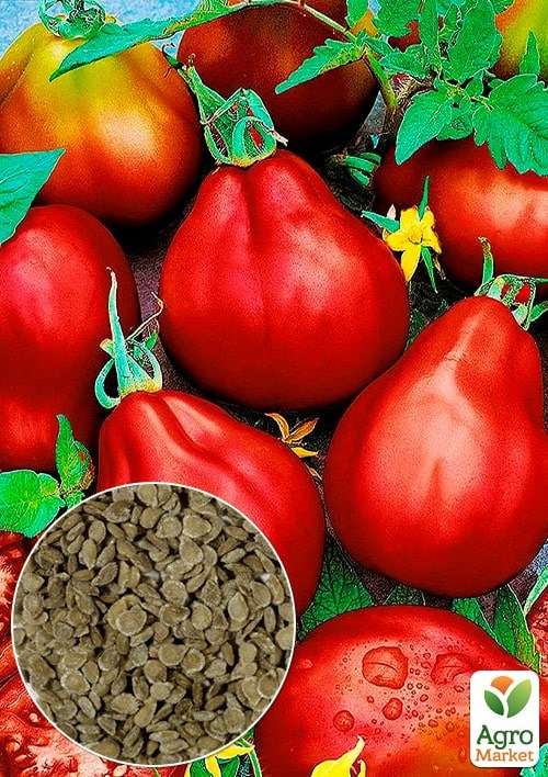 На развес Томат "Винный кувшин" ТМ "Весна" цена за 1г