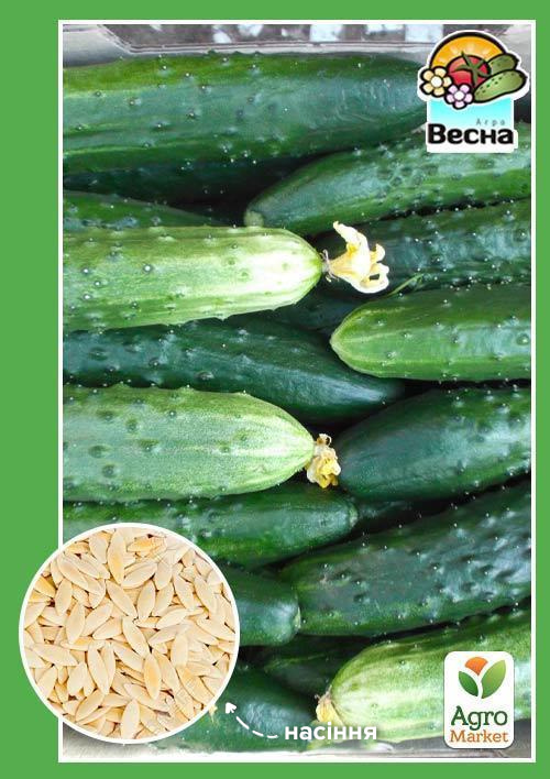 Огірок "Король грядки F1" (Новий пакет) ТМ "Весна" 0.25г