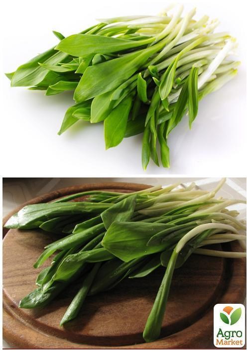 На развес Черемша ТМ "Весна" цена за 1г - фото 2