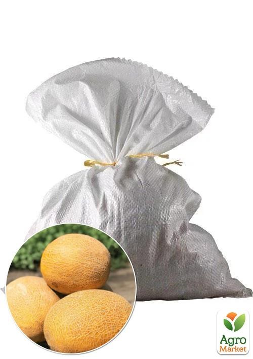 Дыня "Леся" ТМ Весна 3кг