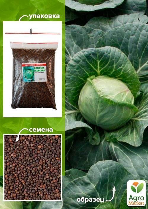 Капуста "Харьковская зимняя" ТМ "Весна" 500г