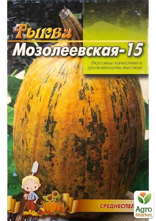 Гарбуз "Мозоліїський -15" (Великий пакет) ТМ "Весна" 8г - фото 2