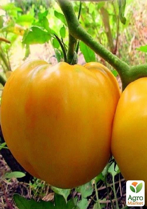 Томат "Волшебник" ТМ "Vesna Select" 0.2г