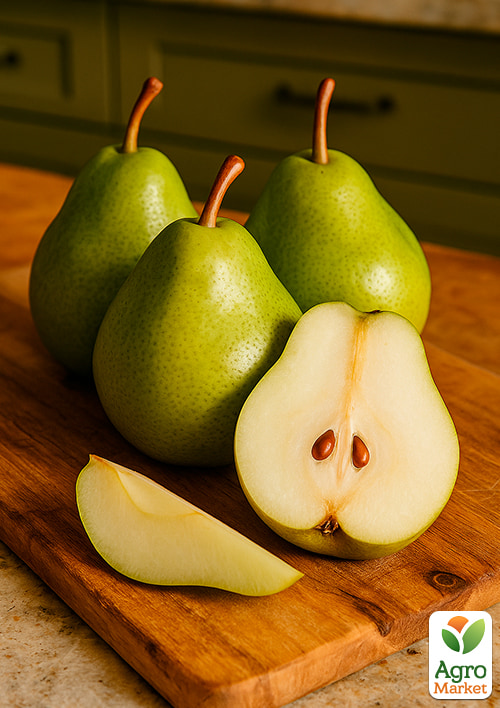 Груша "Бере Гарді" (осінній сорт, середній термін дозрівання) - фото 4