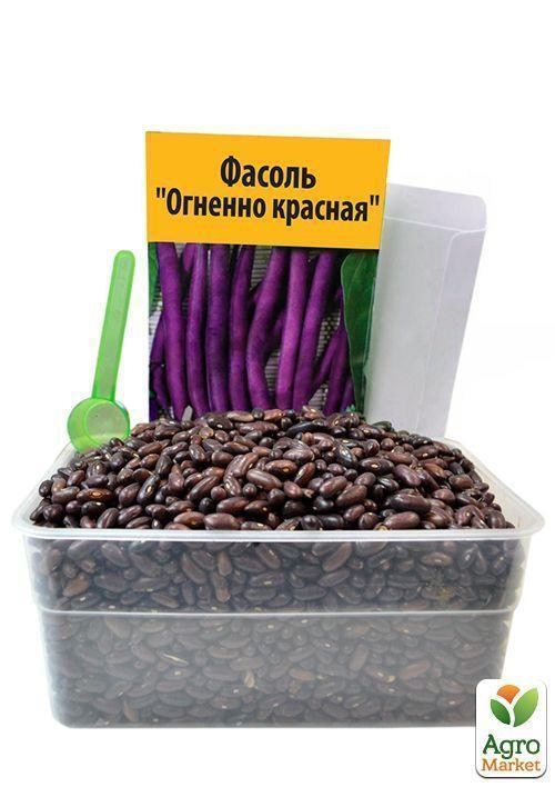 На развес Фасоль "Огненно красная" ТМ "Весна" цена за 15г - фото 4