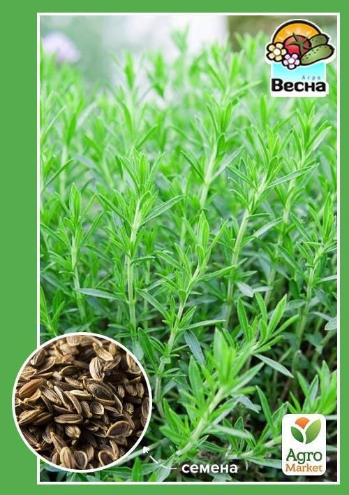 Тархун "Естрагон" ТМ "Весна" 0.2г