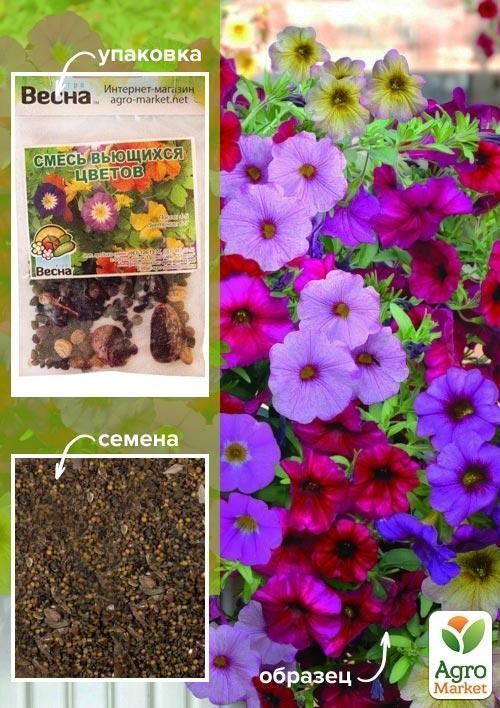 Суміш "Кучеряві квіти" (Зипер) ТМ "Весна" 8г