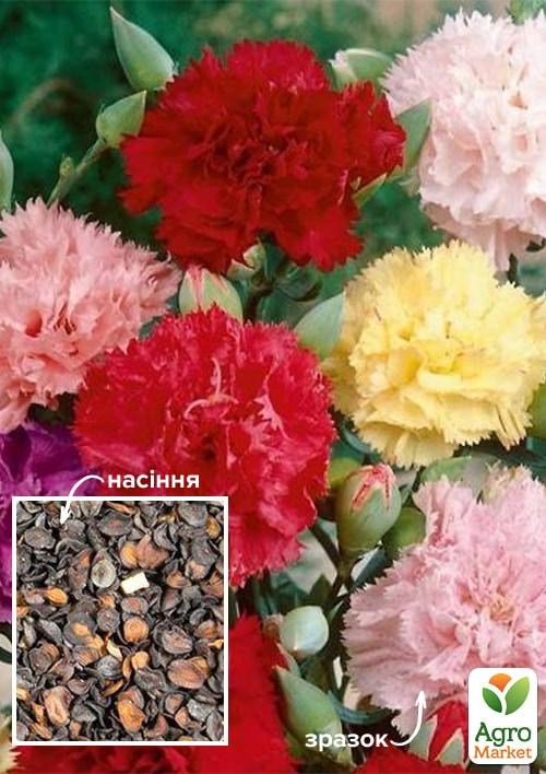 Гвоздика Шабо "Акварель" (Зипер) ТМ "Весна" 0,5г