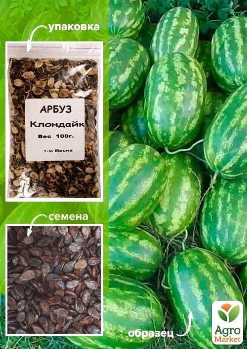 Кавун "Клондайк" ТМ "Весна" 100г