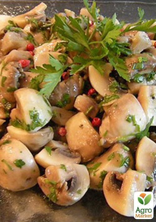 Міцелій на дубових брусочках "Опеньок товстоногий" 10шт - фото 2