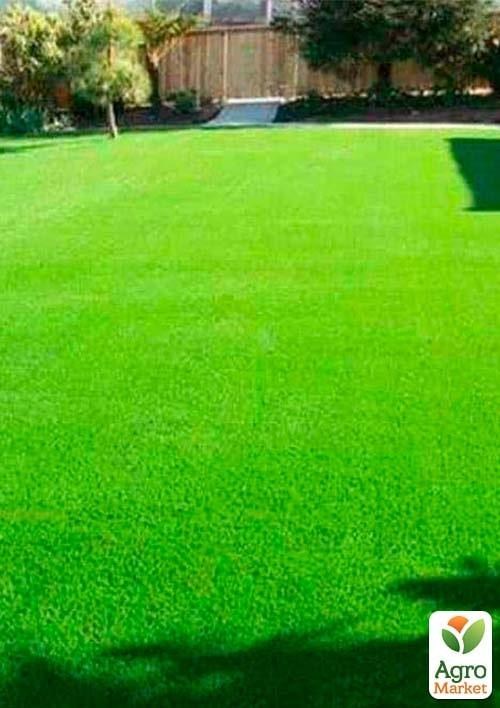 Газонна травосуміш "Світлолюбний" ТМ "Сімейний сад" 800г - фото 2