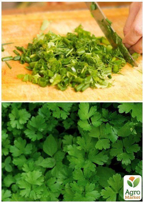 На вагу Петрушка "Гігантелла" ТМ "Весна" ціна за 10г - фото 3