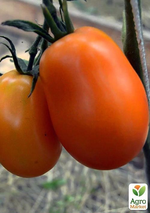 Томат "Олеся" ТМ "Vesna Select" 0,2г - фото 3
