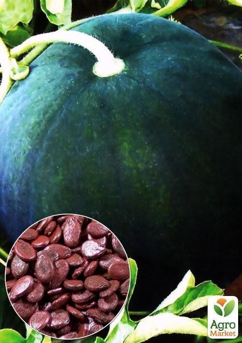 На развес Арбуз обработанный "Огонек" ТМ "Весна" цена за 5г