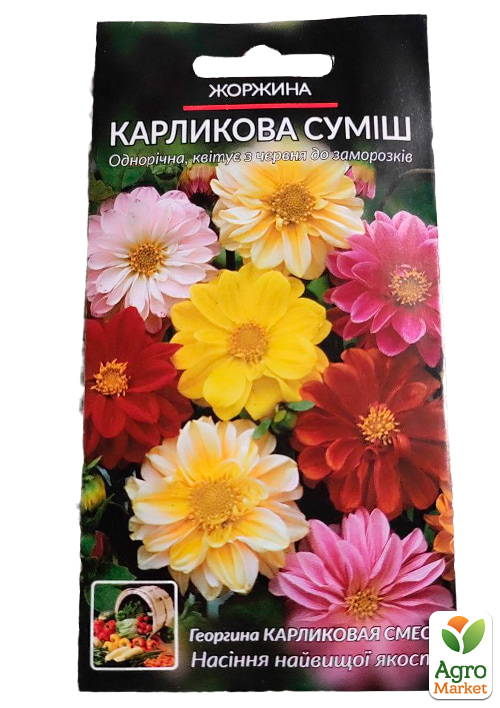 Жоржина "Карликова Суміш" ТМ "Весна" 0.2г - фото 2