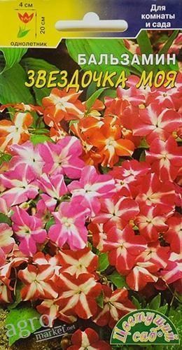 Бальзамин "Звездочка моя" ТМ "Цветущий сад" 5шт