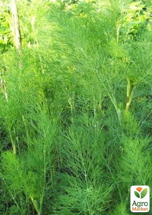 Укроп "Кустовой" (в банке) ТМ "Весна Органик" 20г