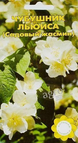 Бузок Льюїса (Садовий жасмин) ТМ "Велика галявина" 0.1г