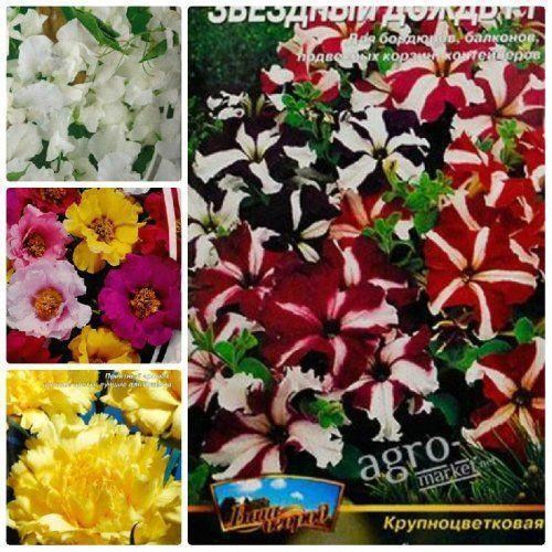 Комплект семян цветов "Аромат свежести" 5уп